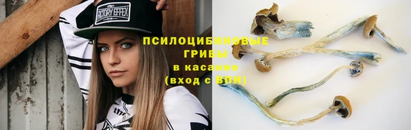 а пвп мука Белая Холуница