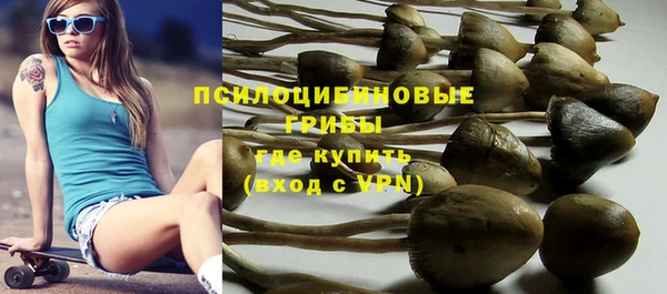 гидра Надым