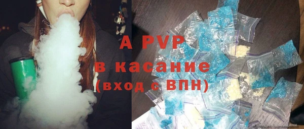 гидра Надым