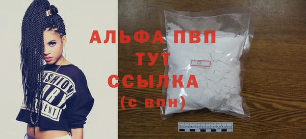 гидра Надым