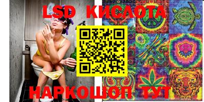 прущий лед Гусев