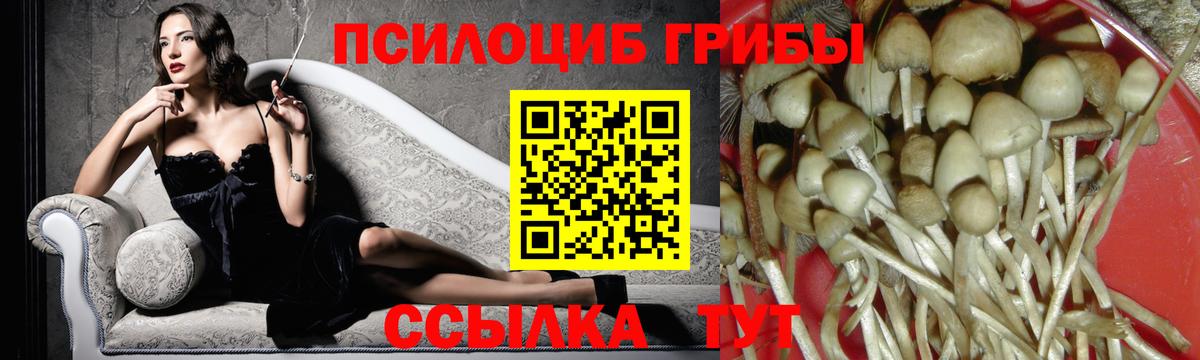 Галлюциногенные грибы мицелий Пенза